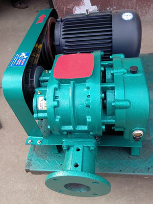 KQSR系列-糧食加工用羅茨風(fēng)機(jī) _供應(yīng)信息_商機(jī)_中國(guó)食品機(jī)械設(shè)備網(wǎng)